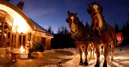 Whistler Sleigh Rides - A Little Bit of Holiday Magic